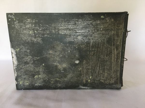 Lite Fuglebur i blikk